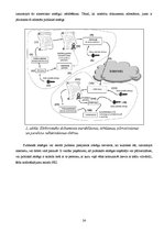 Referāts 'Informācijas sabiedrības pārvalde Latvijā - e-pārvalde', 24.