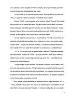 Referāts 'Latvijas valsts atjaunošana', 6.