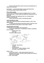 Konspekts 'Ekonomikas pamati', 6.