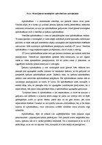 Eseja 'Manai ģimenei nozīmīgākie apdrošināšanas pakalpojumi', 1.