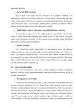 Referāts 'Viesnīcu veidi un to raksturojums Liepājā', 6.