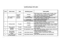 Konspekts 'Speciālā pedagoga rīcības plāns', 1.