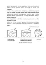 Prakses atskaite 'Ražošanas prakses atskaite', 17.