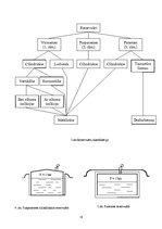 Prakses atskaite 'Ražošanas prakses atskaite', 18.