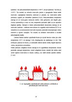 Prakses atskaite 'Ražošanas prakses atskaite', 29.