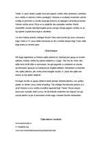 Referāts 'Cīņa par Latvijas neatkarību no 1918.gada līdz 1919.gada jūlijam', 7.