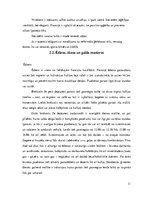 Referāts 'Referāts par etiķeti Francijā', 11.