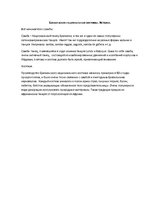 Konspekts 'Бразильские национальные костюмы', 2.