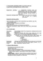 Konspekts 'Iziešanas veidi starptautiskajā tirgū', 2.