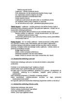 Konspekts 'Iziešanas veidi starptautiskajā tirgū', 3.