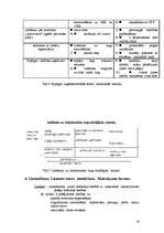 Konspekts 'Iziešanas veidi starptautiskajā tirgū', 14.