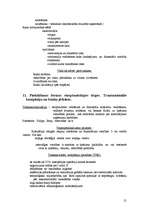 Konspekts 'Iziešanas veidi starptautiskajā tirgū', 21.