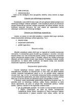 Konspekts 'Iziešanas veidi starptautiskajā tirgū', 28.