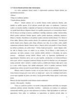 Referāts 'SIA "Latvikon" finansiālā stāvokļa izvērtēšana un attīstības programmas', 5.