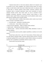 Referāts 'SIA "Latvikon" finansiālā stāvokļa izvērtēšana un attīstības programmas', 8.