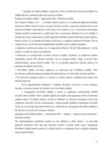 Referāts 'SIA "Latvikon" finansiālā stāvokļa izvērtēšana un attīstības programmas', 11.