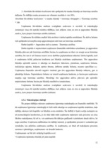 Referāts 'SIA "Latvikon" finansiālā stāvokļa izvērtēšana un attīstības programmas', 12.