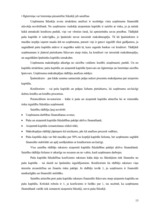 Referāts 'SIA "Latvikon" finansiālā stāvokļa izvērtēšana un attīstības programmas', 13.