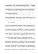 Referāts 'SIA "Latvikon" finansiālā stāvokļa izvērtēšana un attīstības programmas', 14.