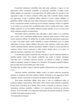 Referāts 'SIA "Latvikon" finansiālā stāvokļa izvērtēšana un attīstības programmas', 17.