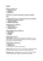 Konspekts 'Valsts', 1.