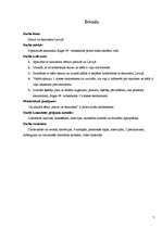 Referāts 'Skauti un skautisms', 5.