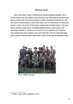 Referāts 'Skauti un skautisms', 14.