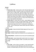 Referāts 'Skauti un skautisms', 25.