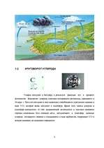 Referāts 'Круговорот веществ в природе и эвтрофизация', 6.