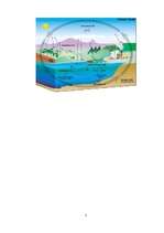 Referāts 'Круговорот веществ в природе и эвтрофизация', 7.