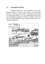 Referāts 'Круговорот веществ в природе и эвтрофизация', 10.