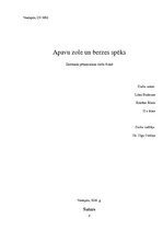 Referāts 'Apavu zole un berzes spēks', 2.