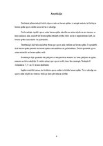 Referāts 'Apavu zole un berzes spēks', 4.