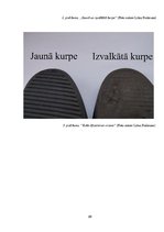 Referāts 'Apavu zole un berzes spēks', 39.