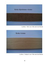 Referāts 'Apavu zole un berzes spēks', 40.