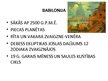 Prezentācija 'Astronomijas pirmsākumi', 3.