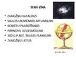Prezentācija 'Astronomijas pirmsākumi', 5.