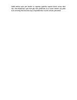 Eseja '1905.–1907.gada revolūcija', 2.