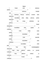 Prakses atskaite 'Preventīvā darba organizēšanas prakse', 2.