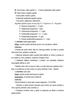 Prakses atskaite 'Preventīvā darba organizēšanas prakse', 14.