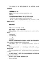 Prakses atskaite 'Preventīvā darba organizēšanas prakse', 15.