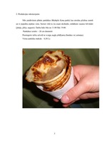 Biznesa plāns 'Biznesa plāns', 3.