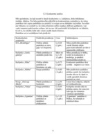 Biznesa plāns 'Biznesa plāns', 6.