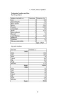 Biznesa plāns 'Biznesa plāns', 10.