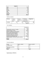 Biznesa plāns 'Biznesa plāns', 11.