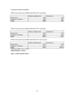 Biznesa plāns 'Biznesa plāns', 12.