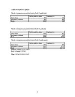 Biznesa plāns 'Biznesa plāns', 13.