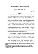 Eseja 'Pacientu datu aizsardzība. Konfidencialitāte. Situācijas analīze', 1.