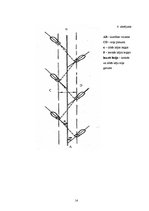 Paraugs 'Praktiskais uzdevums kriminālistikā', 14.