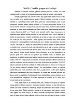 Eseja 'Trīs veidu grupas mārketingā', 1.